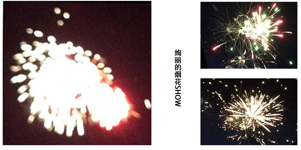 2014年麥斯紅海灣夏日風(fēng)情之旅